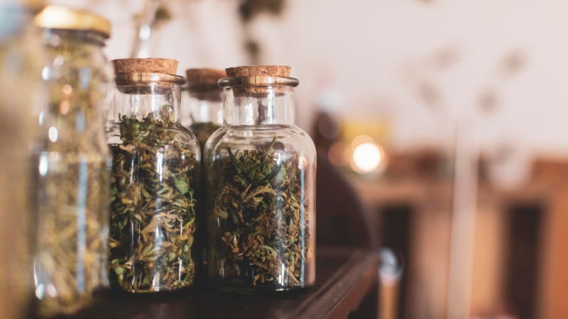 This Black Farmer Is Behind The First Business To Receive A Medical Marijuana License From State Of Florida