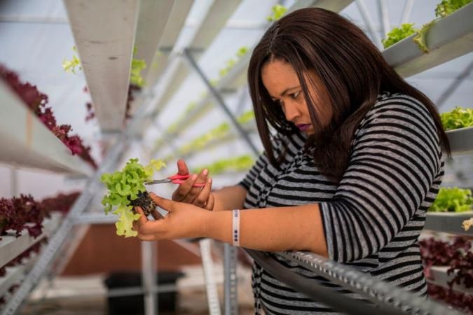 Founders Factory Africa &amp; Small Foundation Join Forces To Invest In 18 Agritech Startups
