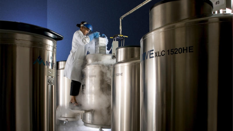 A Lab's Holding The Bodies And Heads Of 200 People With Hopes That They Can Be 'Brought To Life'