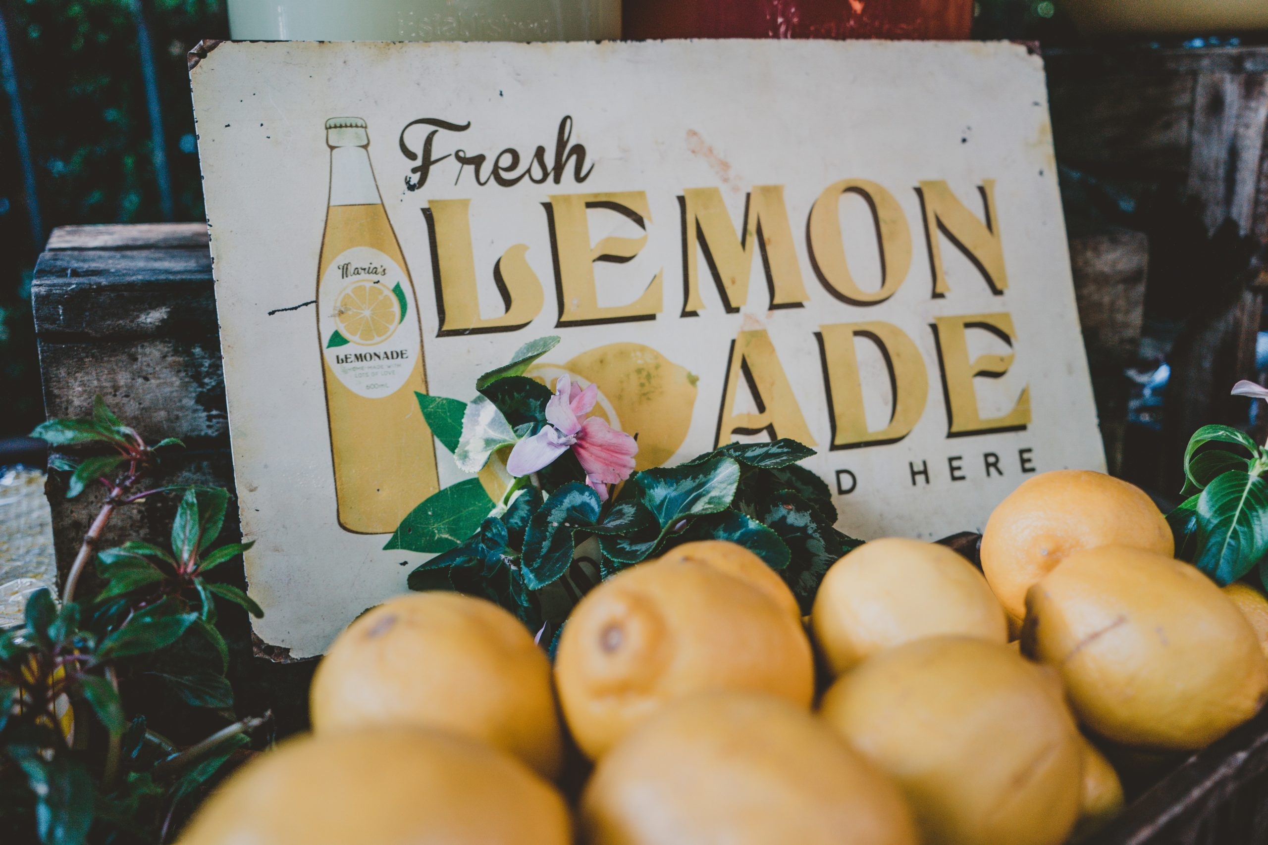 How Mikaila Ulmer Started Me & The Bees Lemonade At Age Four Then Later Hit The Seven-Figure Mark in Sales How Mikaila Ulmer Started Me & The Bees Lemonade At Age Four Then Later Hit The Seven-Figure Mark in Sales