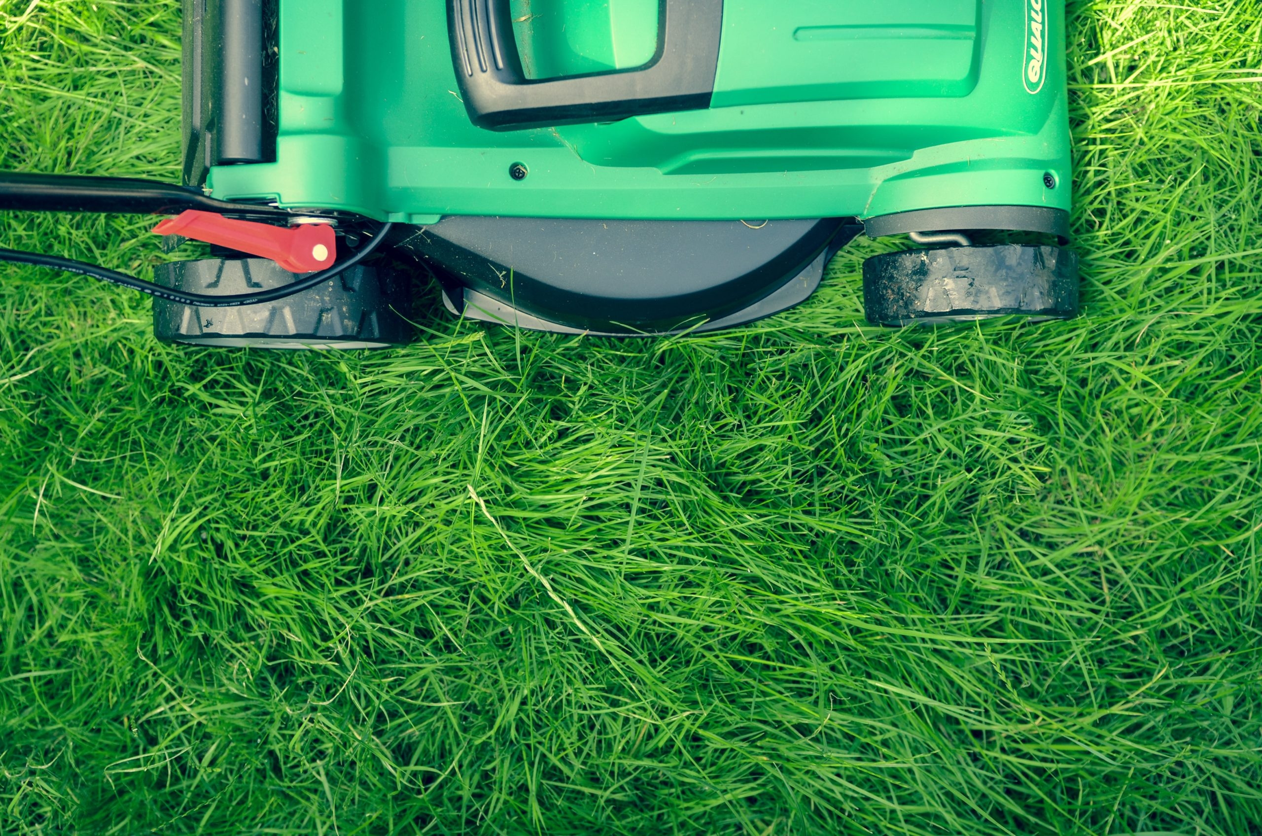 Nine-Year-Old Keith Williams Started A Lawn Mowing Service To Save Up For College And Achieve His Goal Of Becoming A Computer Engineer Nine-Year-Old Keith Williams Started A Lawn Mowing Service To Save Up For College And Achieve His Goal Of Becoming A Computer Engineer
