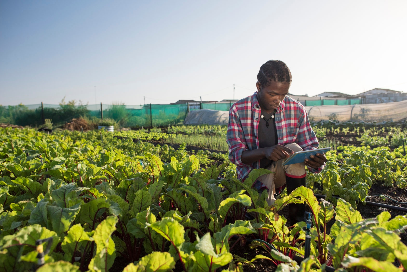 Black Agritech Startups, It's Your Time To Apply For A Chance To Win Up To $1M