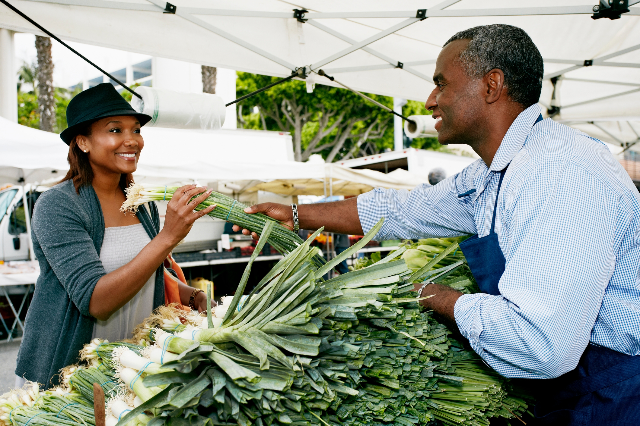 Local Lands, A Black-Owned Georgia Farm, Secures Funding To Expand Food Access For Local Residents Local Lands, A Black-Owned Georgia Farm, Secures Funding To Expand Food Access For Local Residents