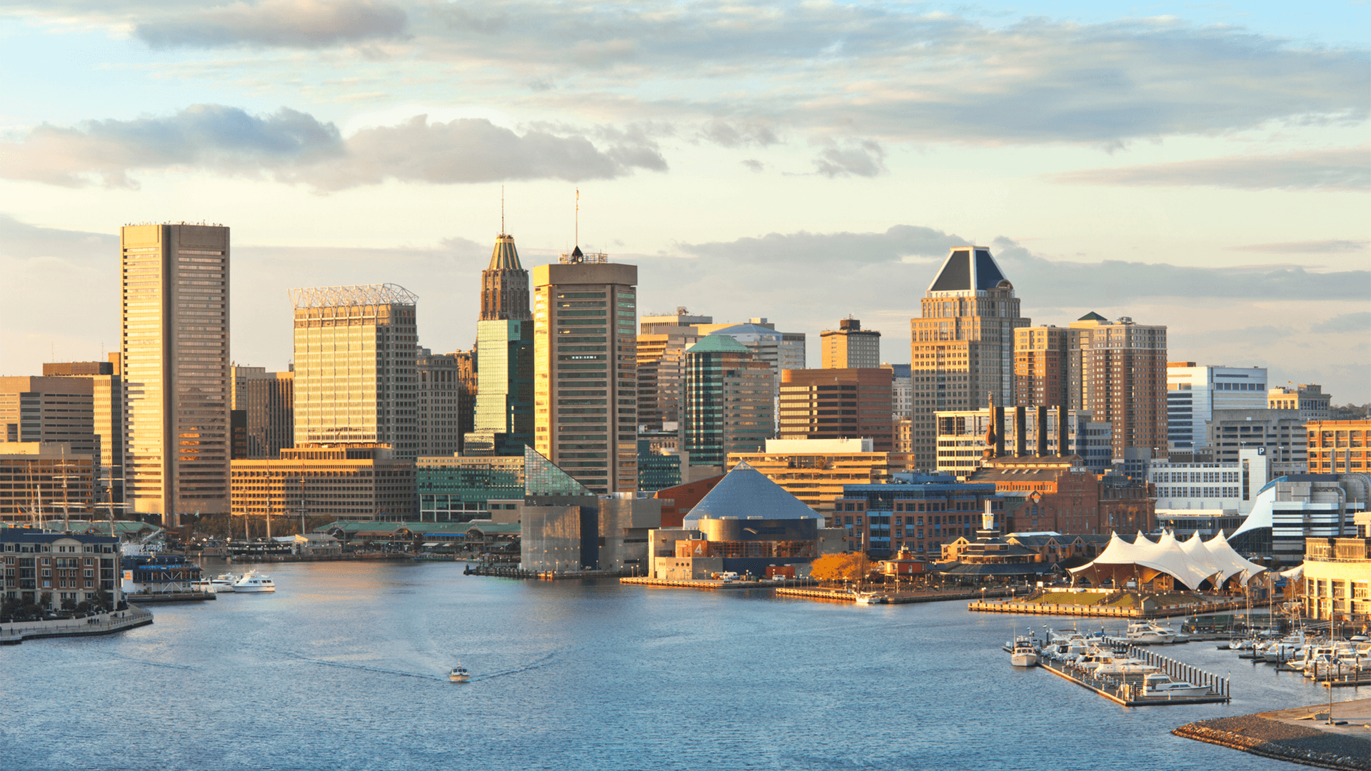 A Proposal Backed By Mayor Brandon Scott Approved To Sell Over 200 Vacant Baltimore Properties For $1 Each To Local Residents A Proposal Backed By Mayor Brandon Scott Approved To Sell Over 200 Vacant Baltimore Properties For $1 Each To Local Residents