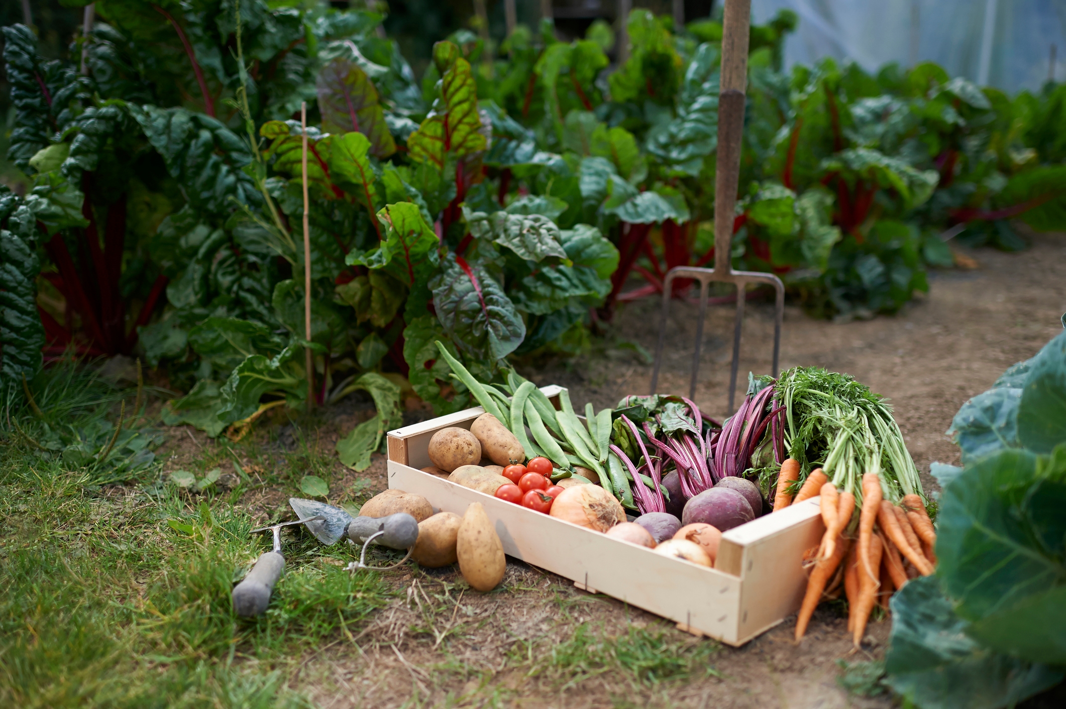 These Entrepreneurs Won A $30K Grant, Which They Plan To Use To Build A Community Garden To Combat Food Insecurity In Kansas City, MO These Entrepreneurs Won A $30K Grant, Which They Plan To Use To Build A Community Garden To Combat Food Insecurity In Kansas City, MO