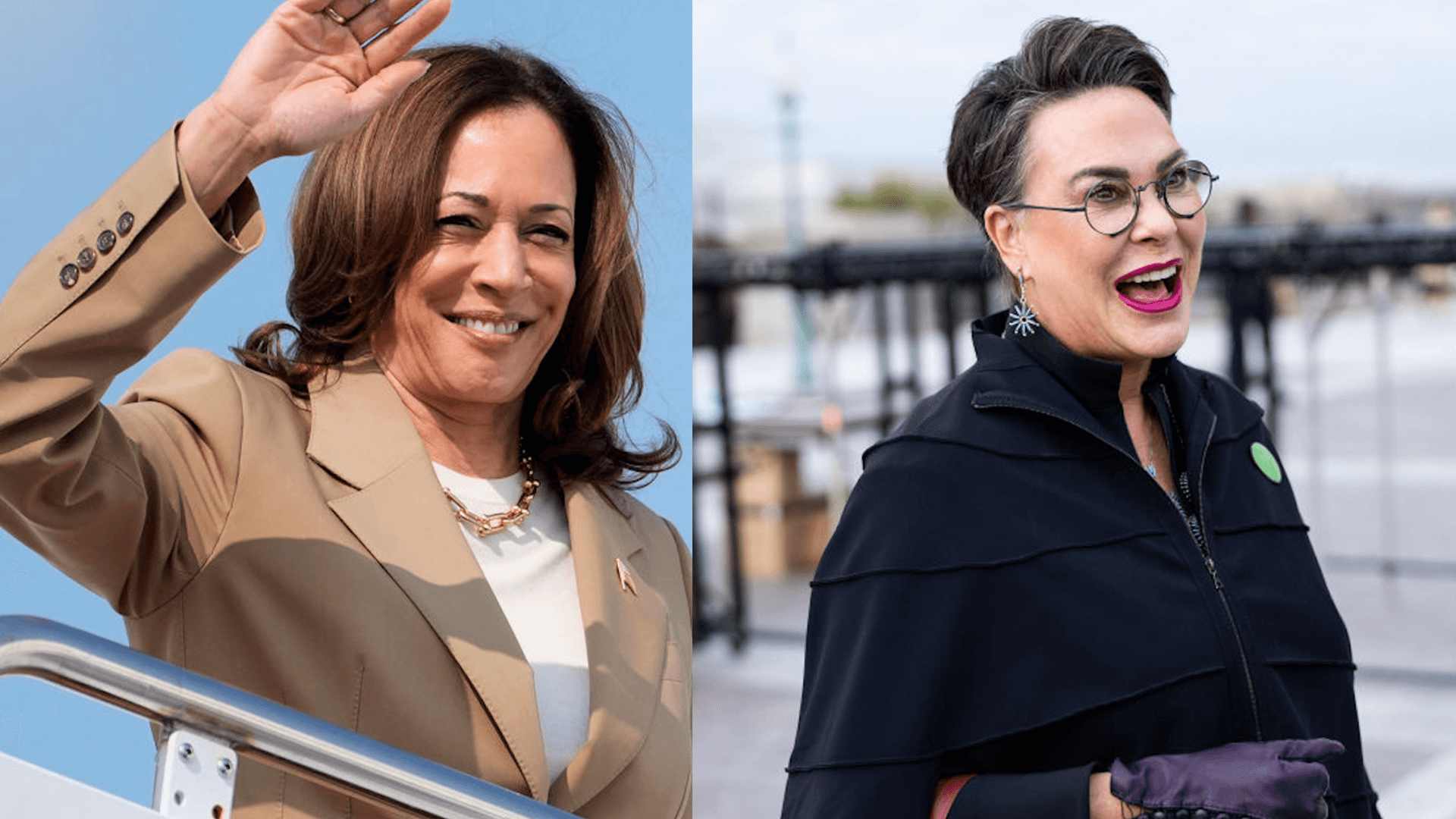 Rep. Harriet Hageman Of Wyoming Reportedly Calls Vice President Kamala Harris A 'DEI Hire'
