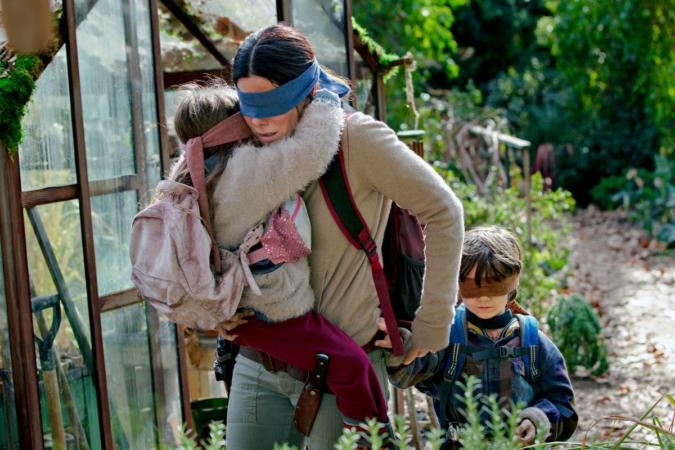 Netflix Wants Fans To Stop Doing the #BirdBoxChallenge Netflix Wants Fans To Stop Doing the #BirdBoxChallenge